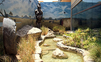 aquatic exhibit